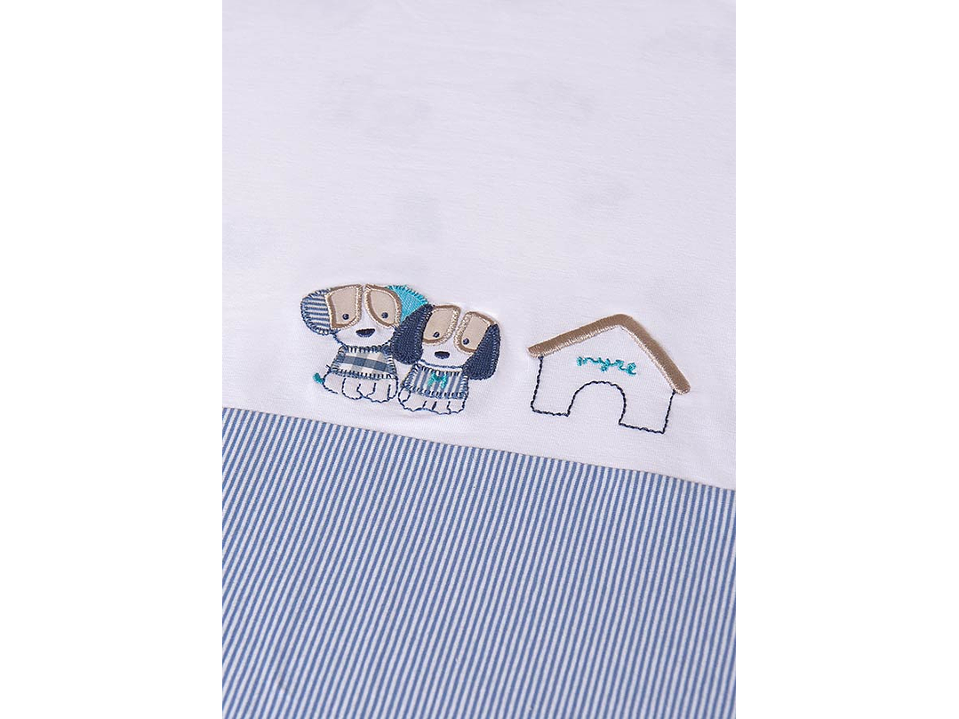 Cobija Mayoral 2024 3