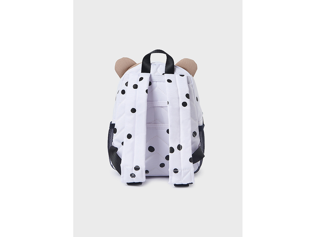 Morral Mayoral 2024 2