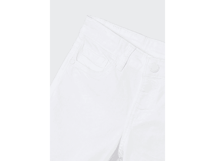 Bermuda Mayoral 2024 3