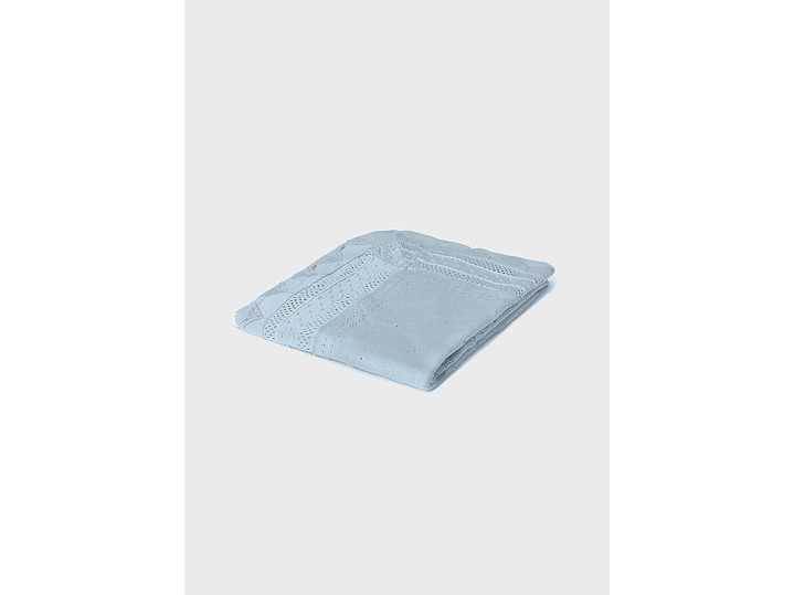 Cobija Mayoral 2024 1