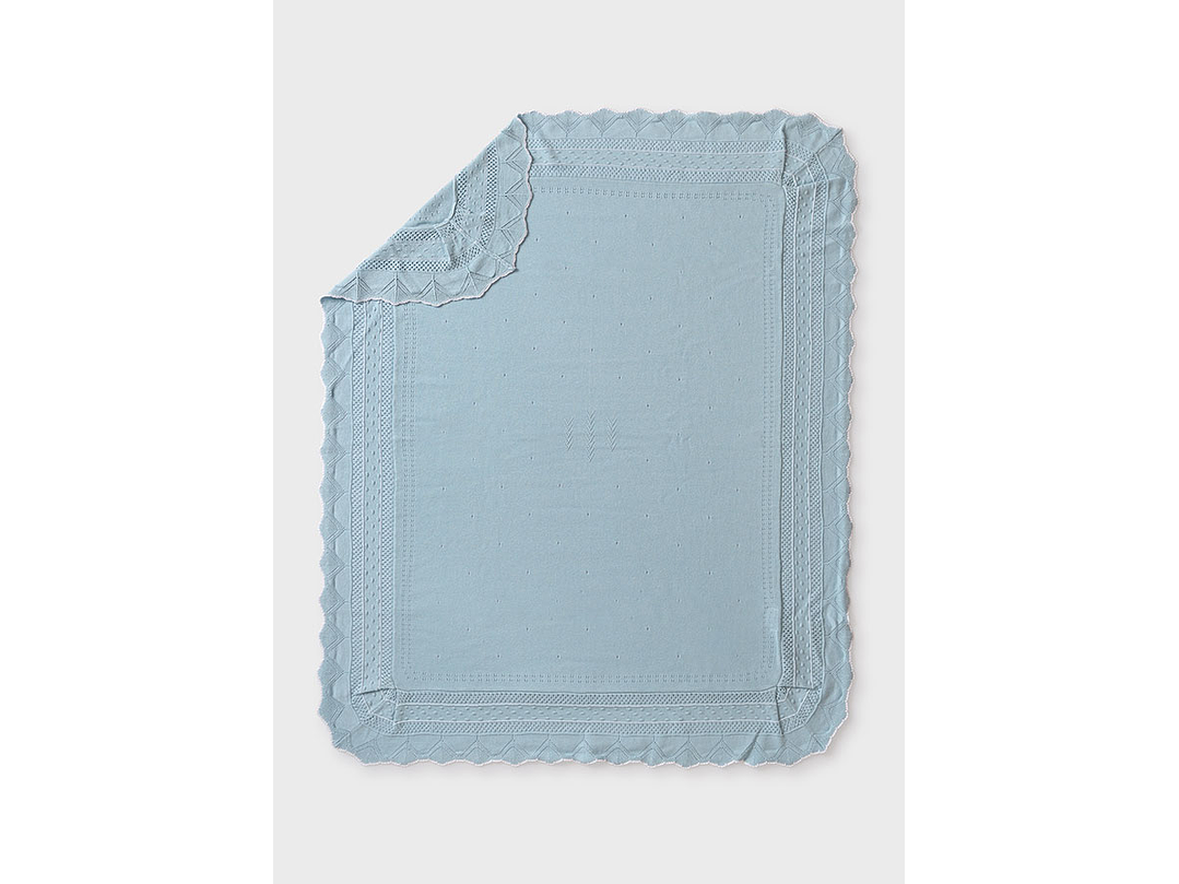 Cobija Mayoral 2024 2