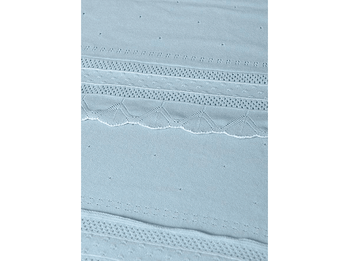 Cobija Mayoral 2024 3