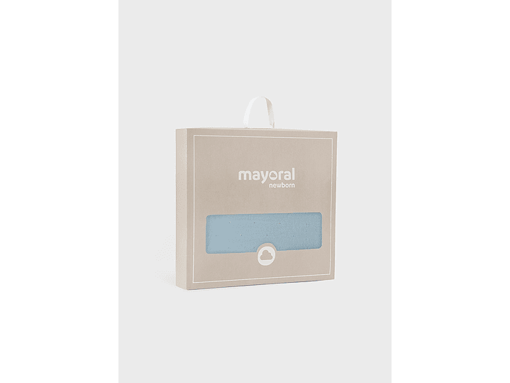 Cobija Mayoral 2024 4