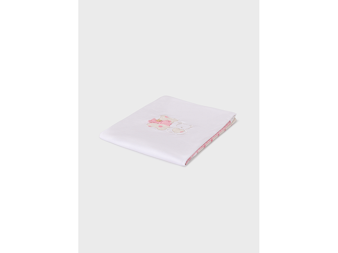 Cobija Mayoral 2024 2