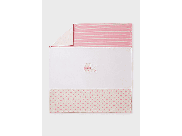 Cobija Mayoral 2024 1