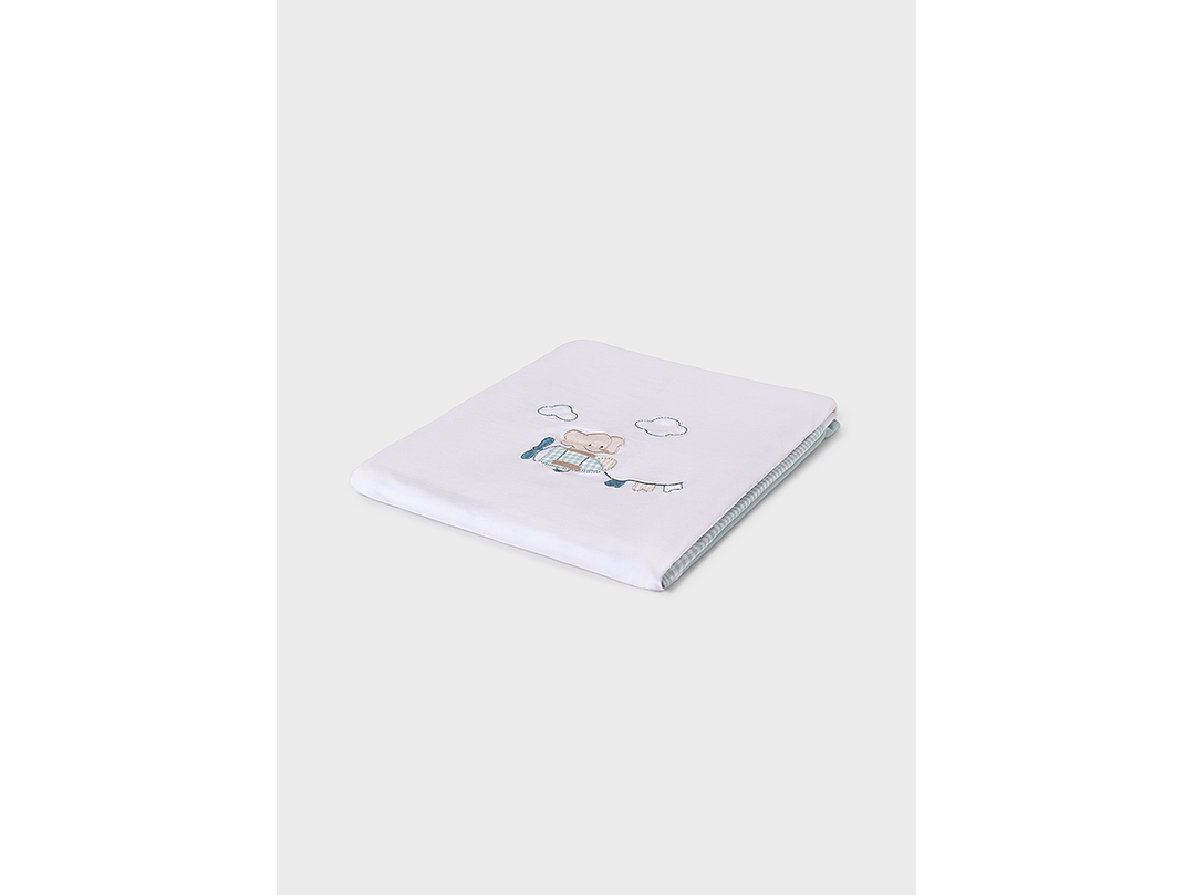 Cobija Mayoral 2024 2