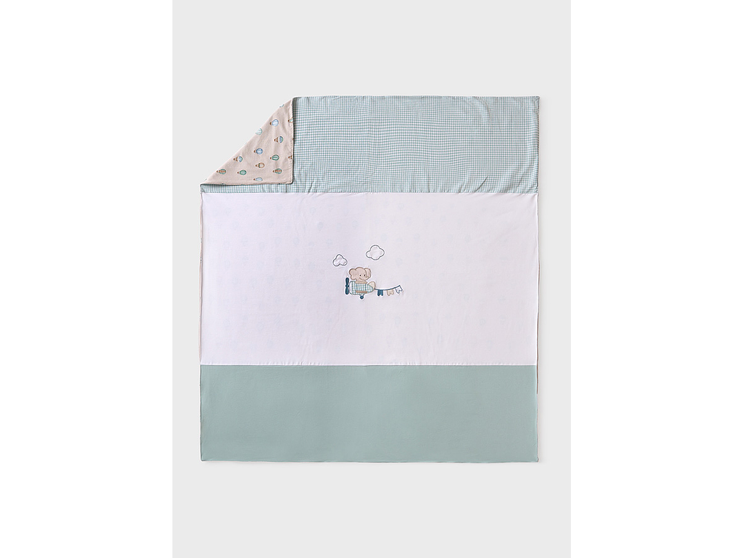 Cobija Mayoral 2024 1