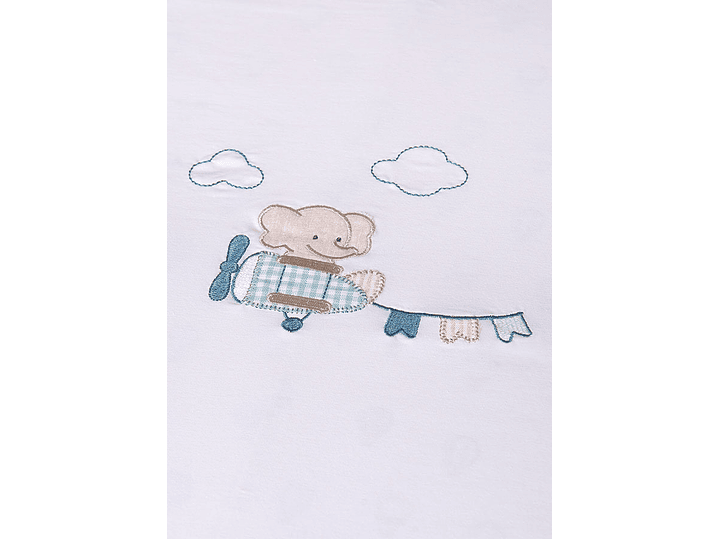 Cobija Mayoral 2024 3