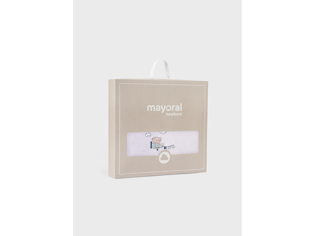 Cobija Mayoral 2024 4