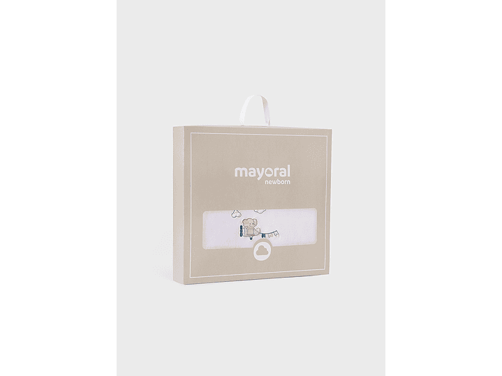 Cobija Mayoral 2024 4