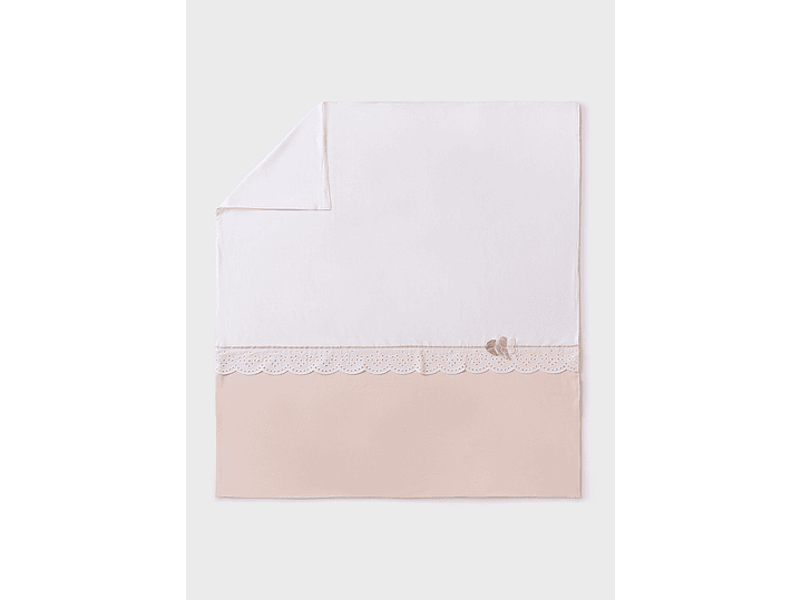 Cobija Mayoral 2024 1