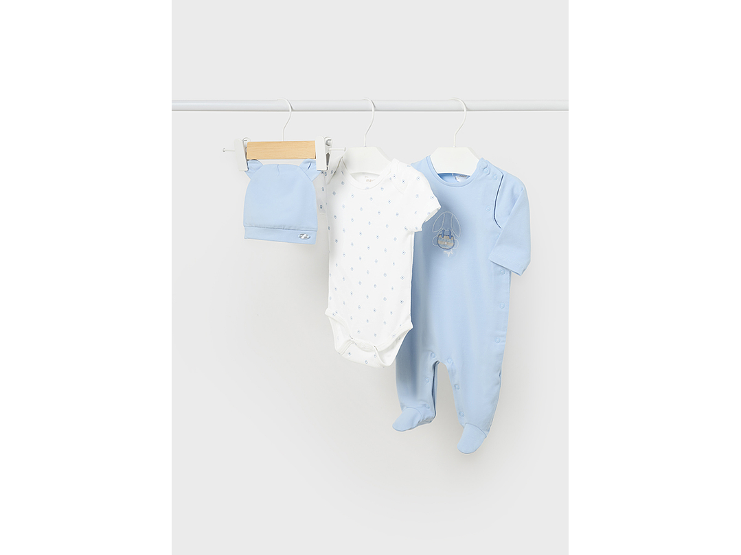 Primera Puesta Mayoral 2024 1