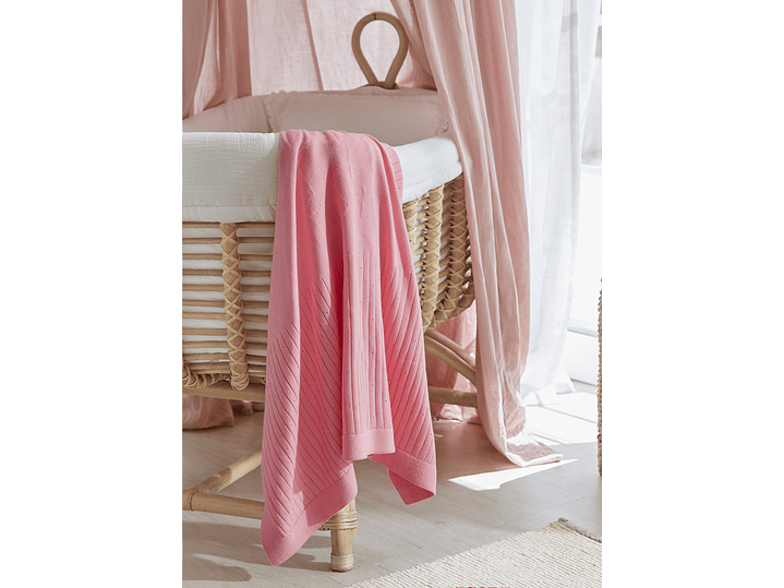 Cobija Mayoral 2024 1