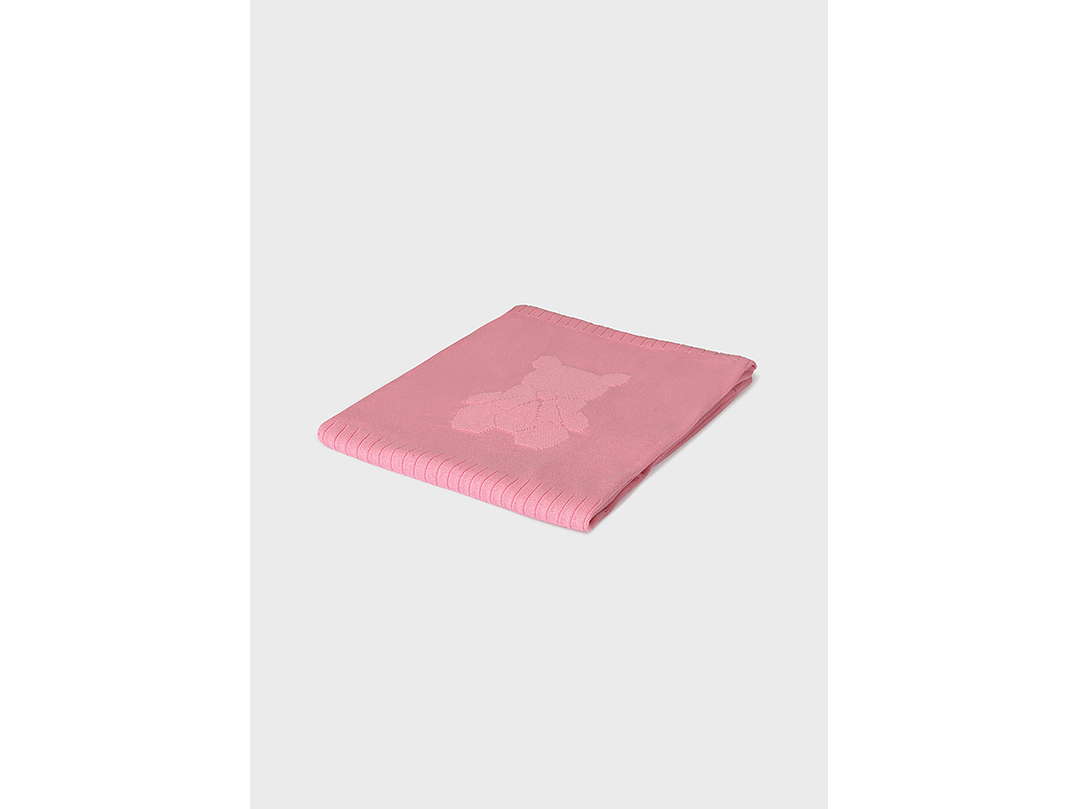 Cobija Mayoral 2024 2