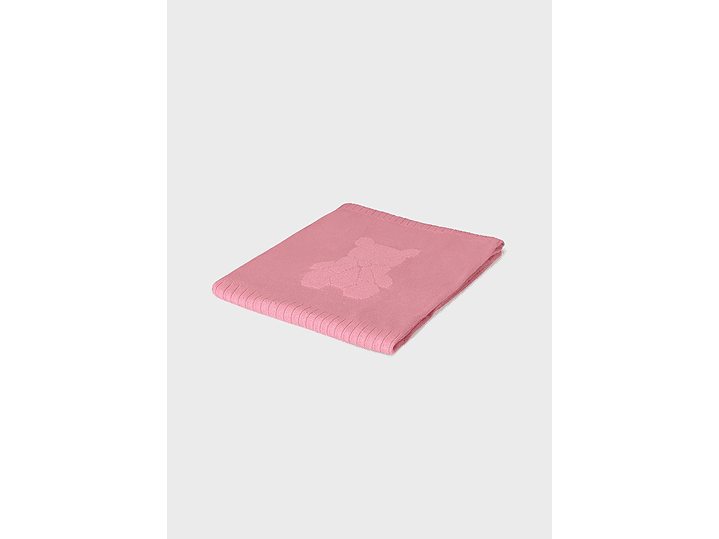 Cobija Mayoral 2024 2