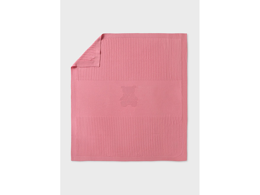 Cobija Mayoral 2024 3