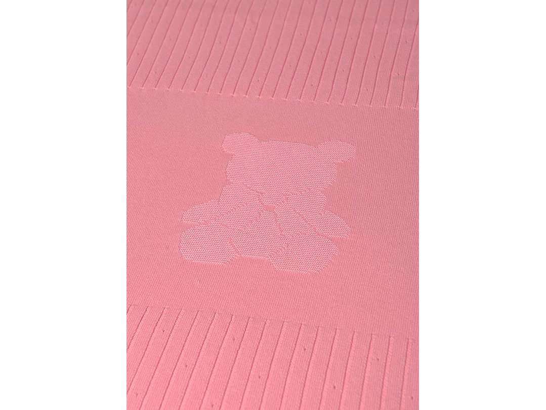 Cobija Mayoral 2024 4