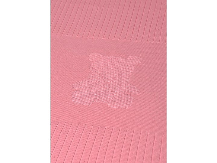 Cobija Mayoral 2024 4