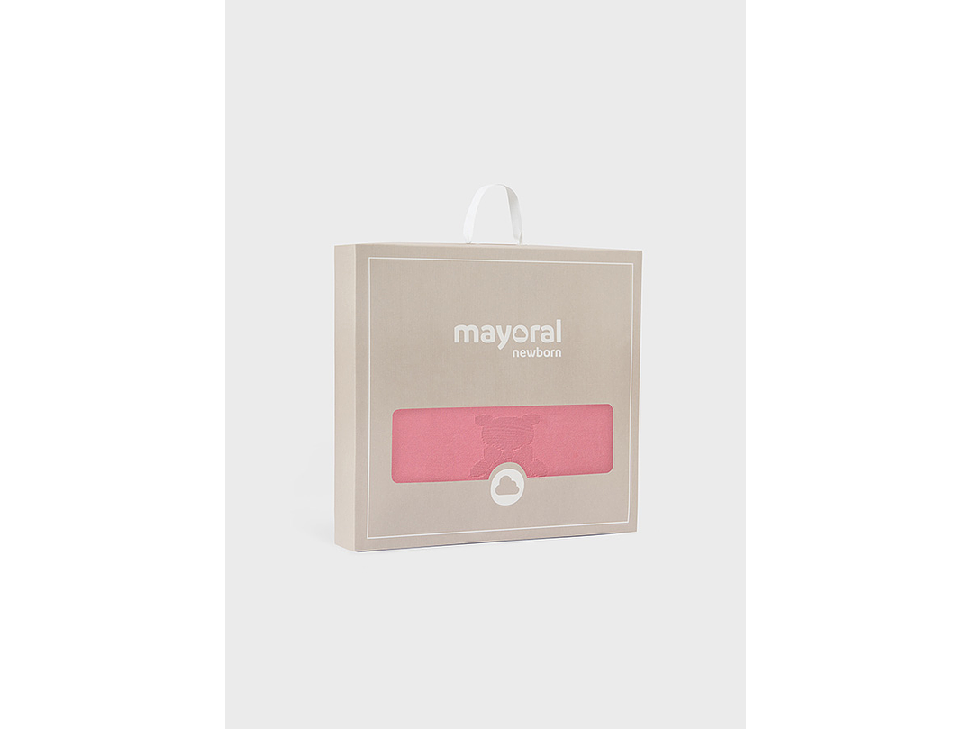 Cobija Mayoral 2024 5