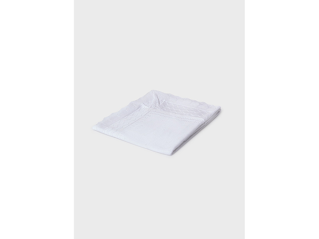 Cobija Mayoral 2024 1