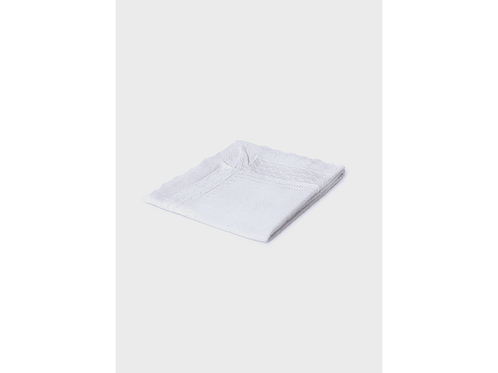 Cobija Mayoral 2024 1