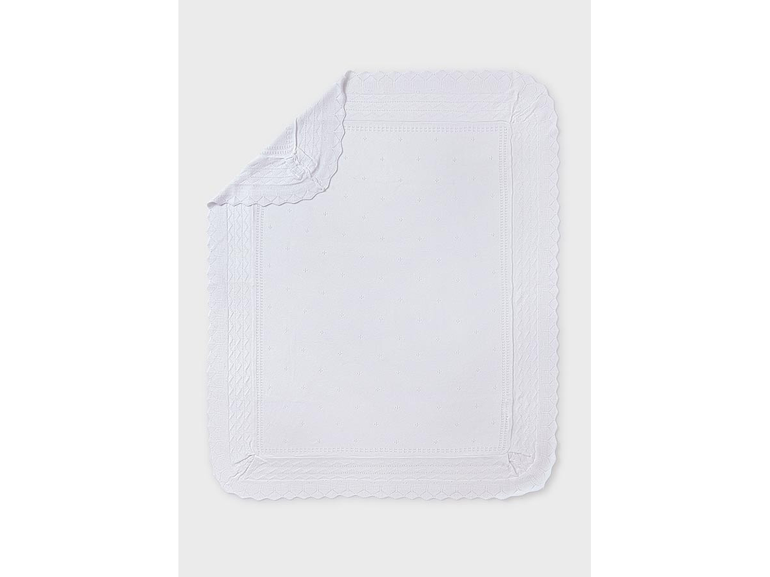 Cobija Mayoral 2024 2