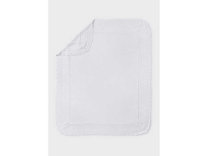 Cobija Mayoral 2024 2