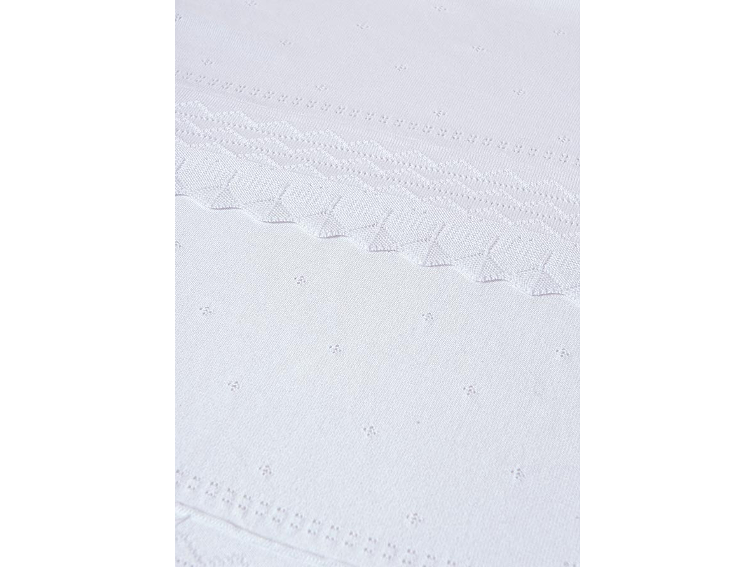 Cobija Mayoral 2024 3