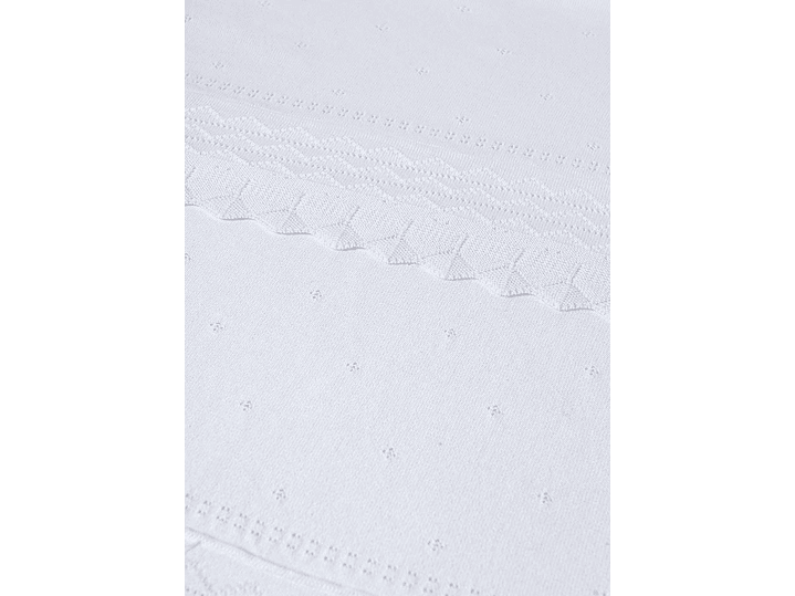 Cobija Mayoral 2024 3