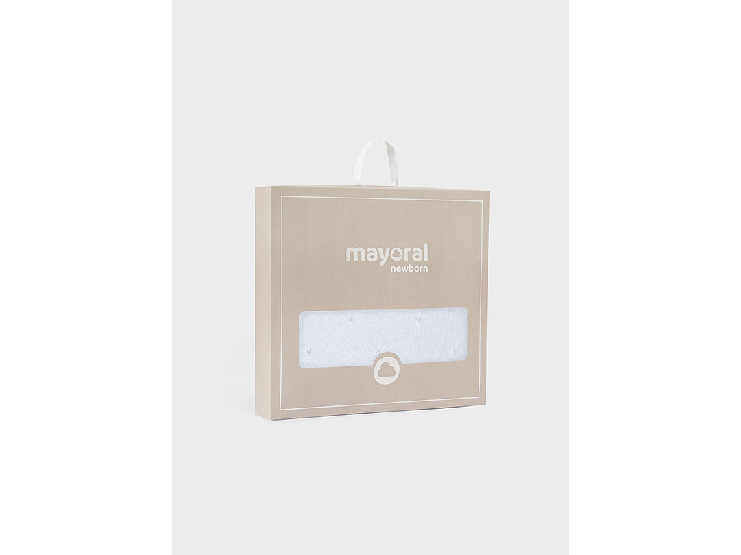 Cobija Mayoral 2024 4