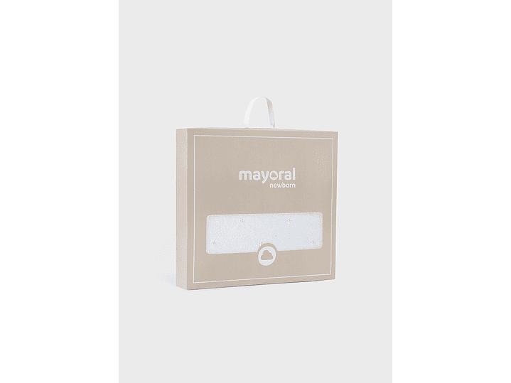 Cobija Mayoral 2024 4