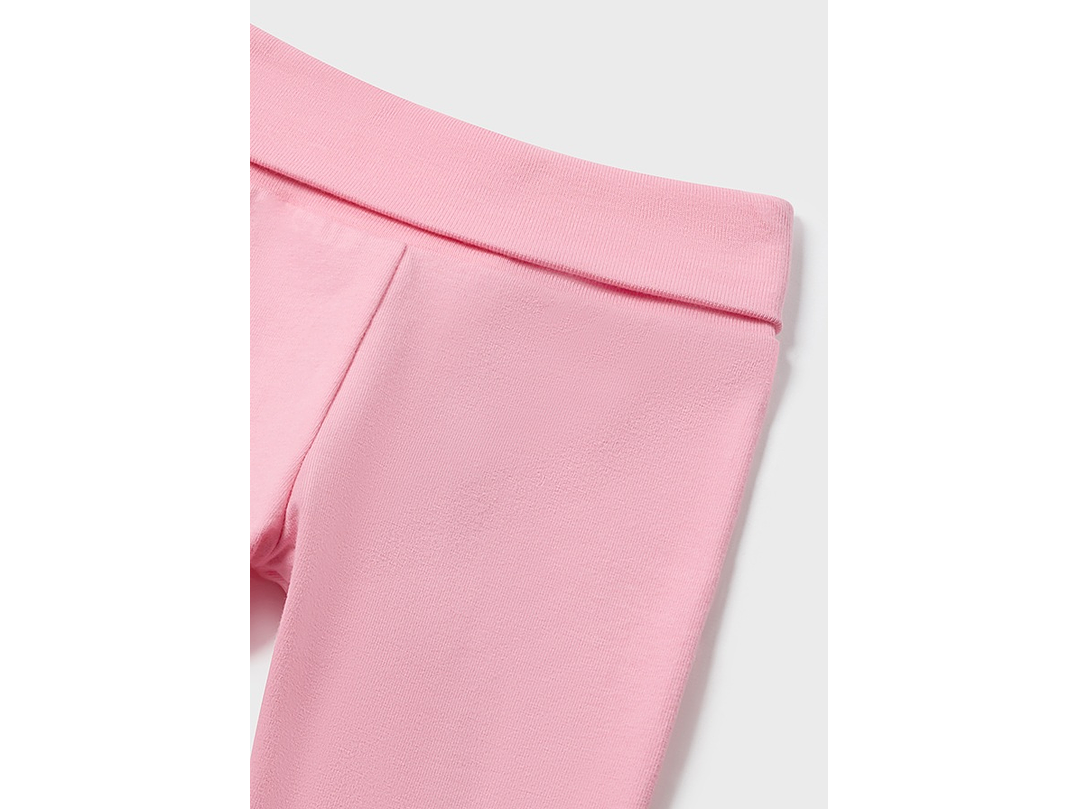 Primera Puesta Mayoral 2024 5