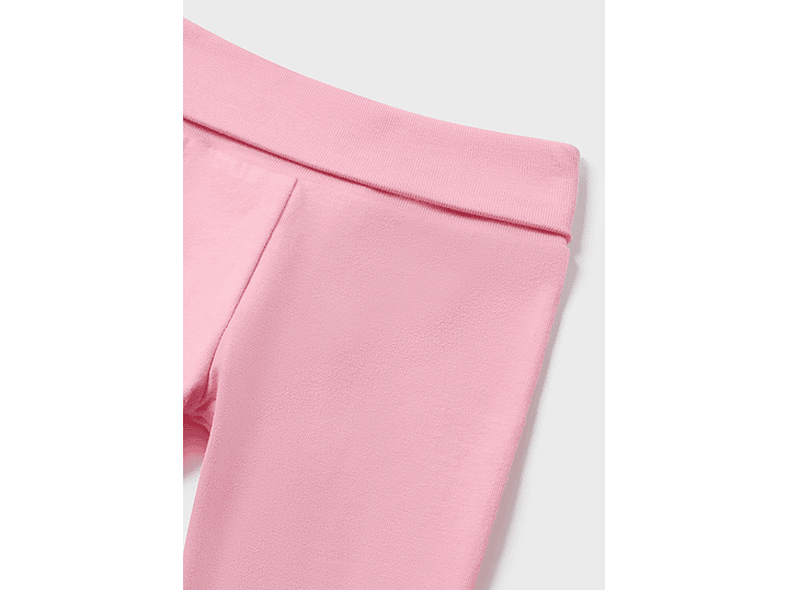 Primera Puesta Mayoral 2024 5