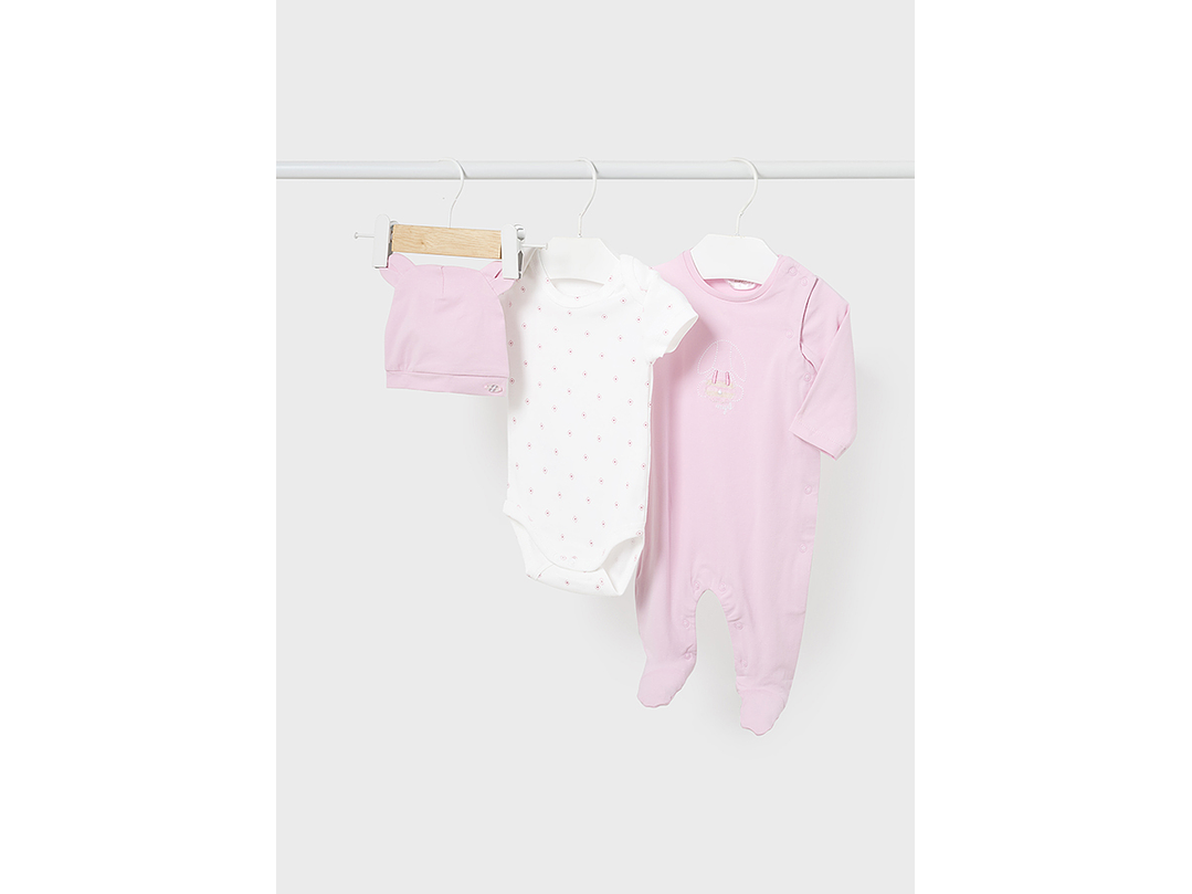 Primera Puesta Mayoral 2024 1