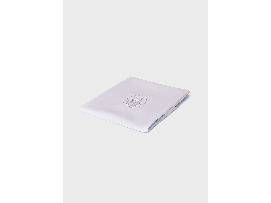 Cobija Mayoral 2024 2