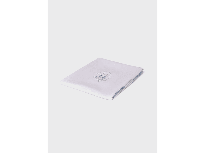 Cobija Mayoral 2024 2