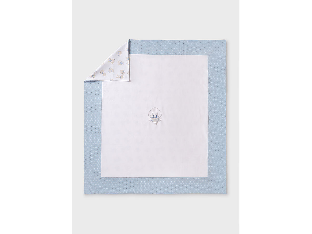 Cobija Mayoral 2024 1