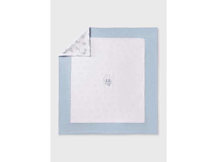 Cobija Mayoral 2024 1