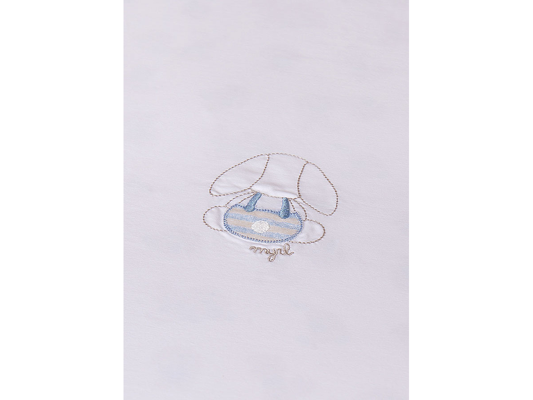 Cobija Mayoral 2024 3