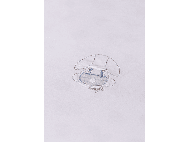 Cobija Mayoral 2024 3