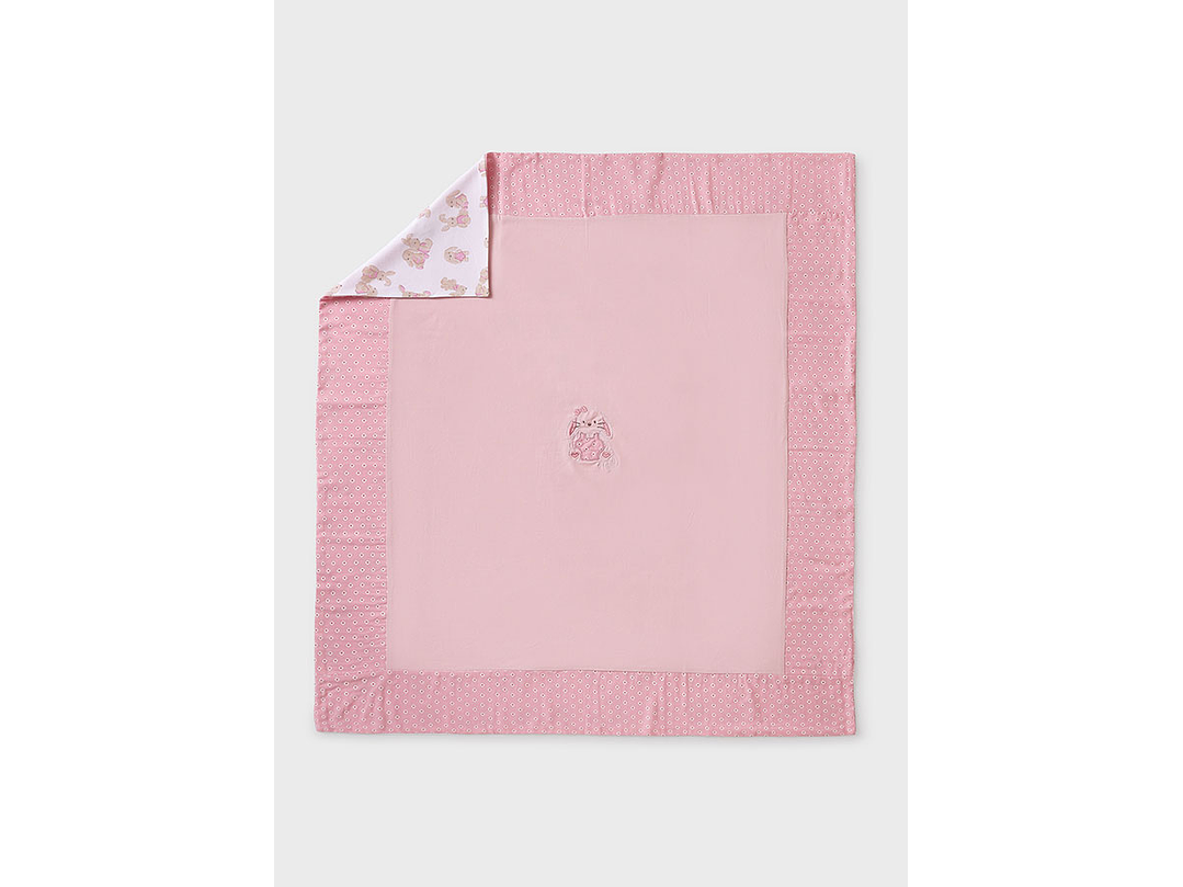 Cobija Mayoral 2024 3