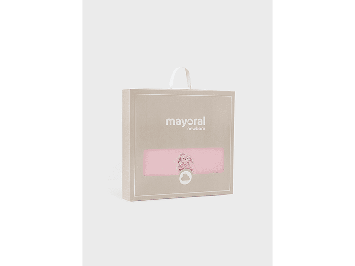 Cobija Mayoral 2024 5