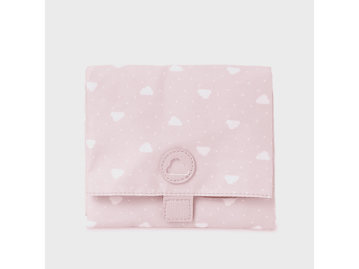 Pañalera Mayoral 2024 6