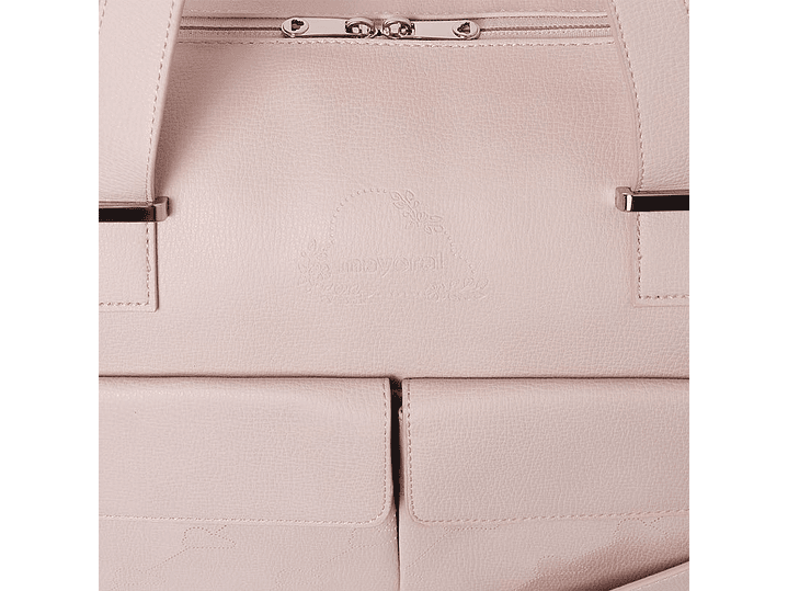 Pañalera Mayoral 2024 3