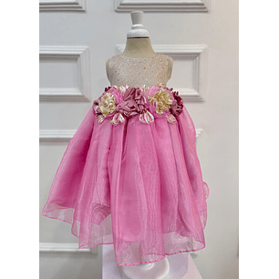 Vestido Milagro 2024