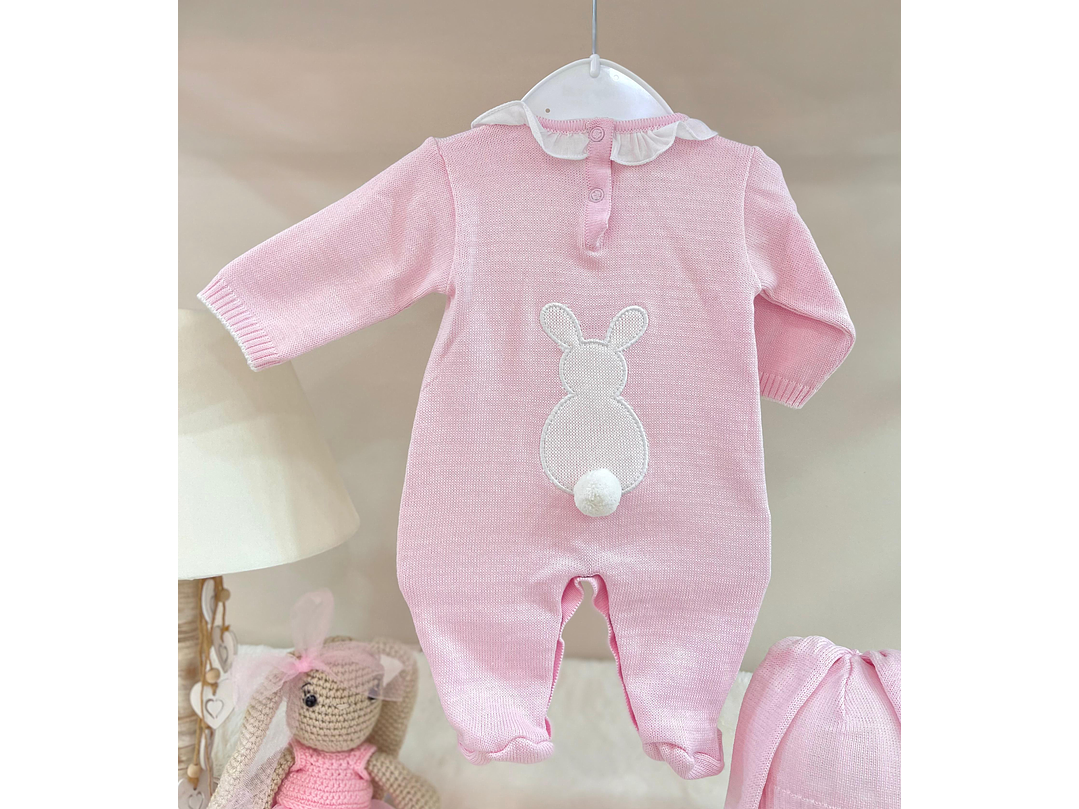 Primera Puesta Conejo 2