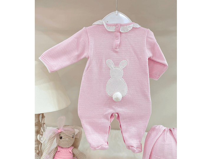 Primera Puesta Conejo 2