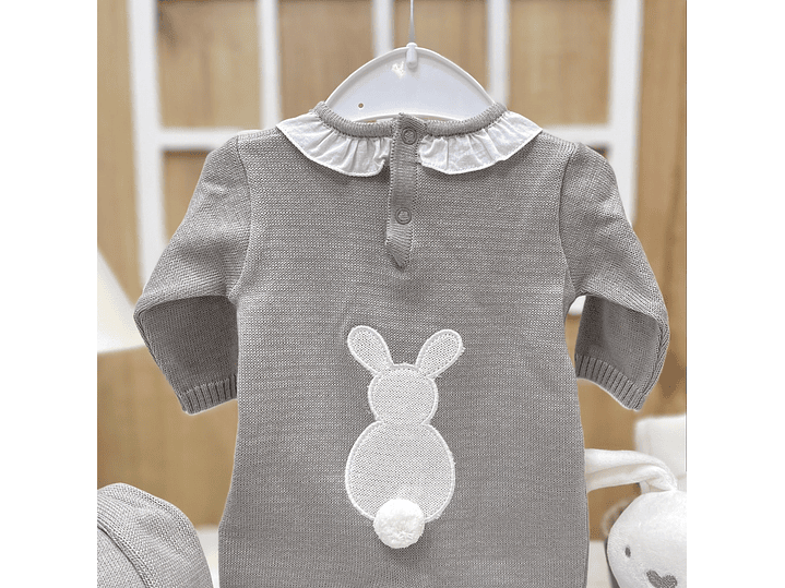 Primera Puesta Conejo 2