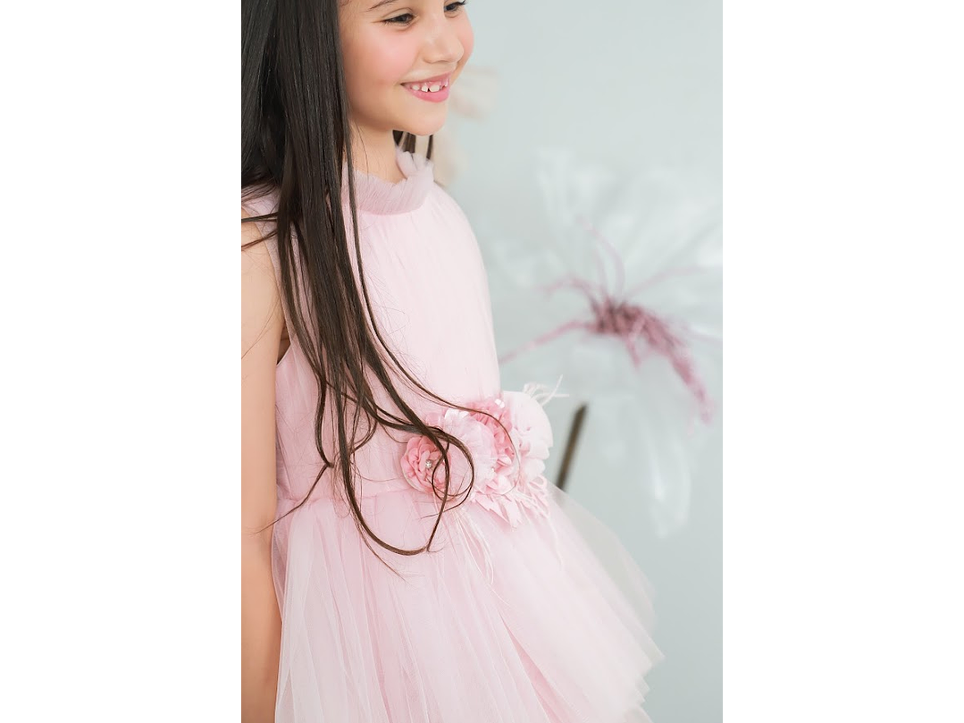 Vestido Leticia Rosa Palo 3