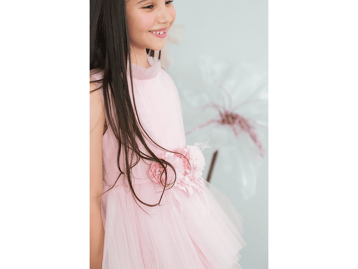 Vestido Leticia Rosa Palo 3